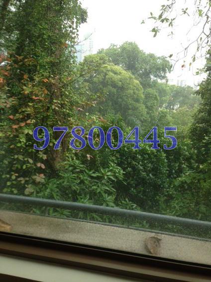 St. Martin Residence (D10), Condominium #80199542